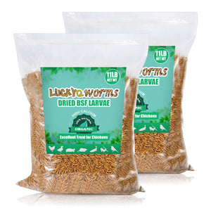 LuckyQworms Dried Black Solidier Fly Larvae 22LBS, High-Protein BSF Larvae Chicken Treats Non-GMO BSFL for Chickens, Hens, Ducks, Wild Birds