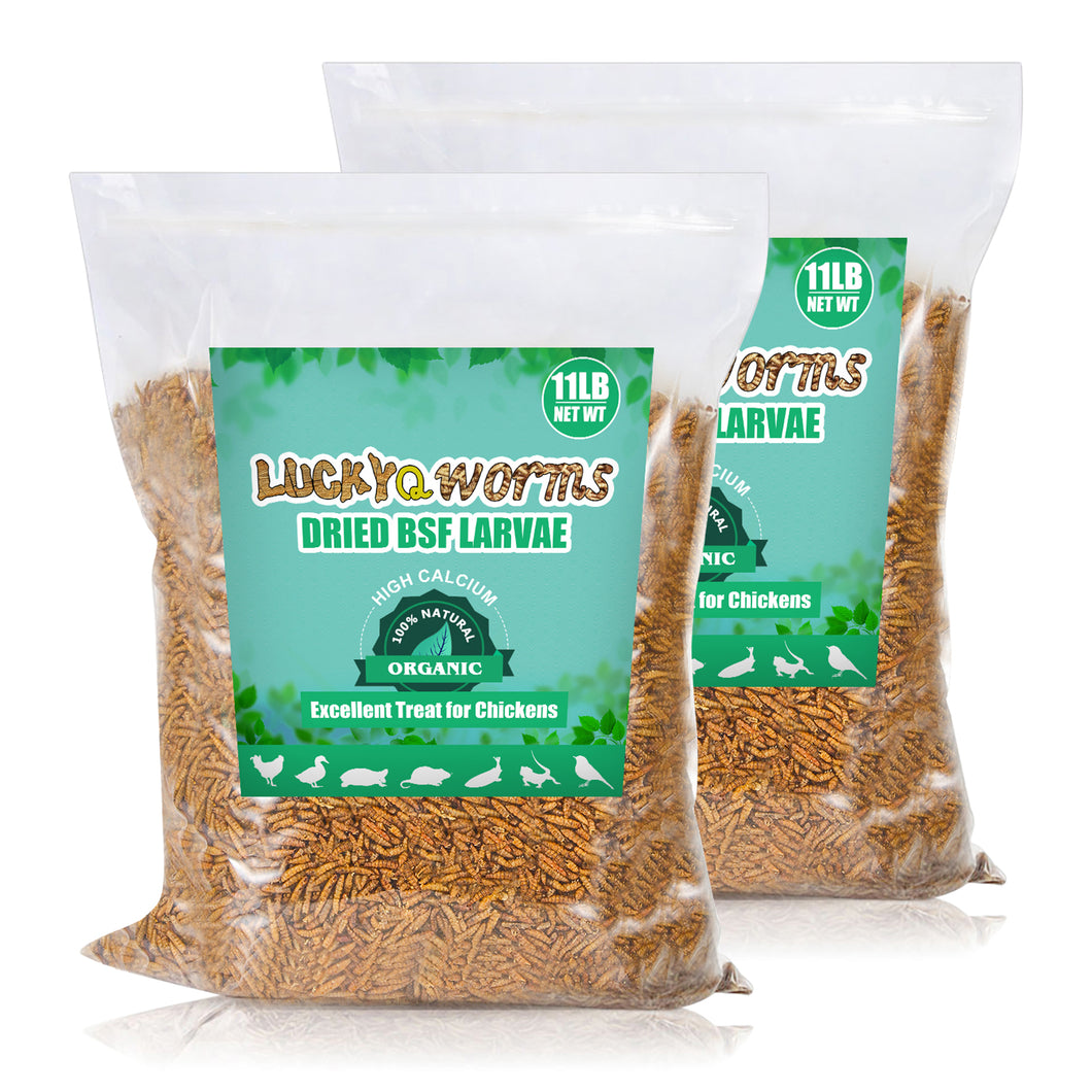 LuckyQworms Dried Black Solidier Fly Larvae 22LBS, High-Protein BSF Larvae Chicken Treats Non-GMO BSFL for Chickens, Hens, Ducks, Wild Birds