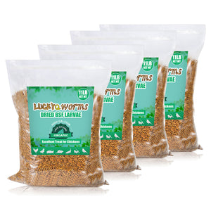 LuckyQworms Dried Black Solidier Fly Larvae 44LBS, High-Protein BSF Larvae Chicken Treats Non-GMO BSFL for Chickens, Hens, Ducks, Wild Birds