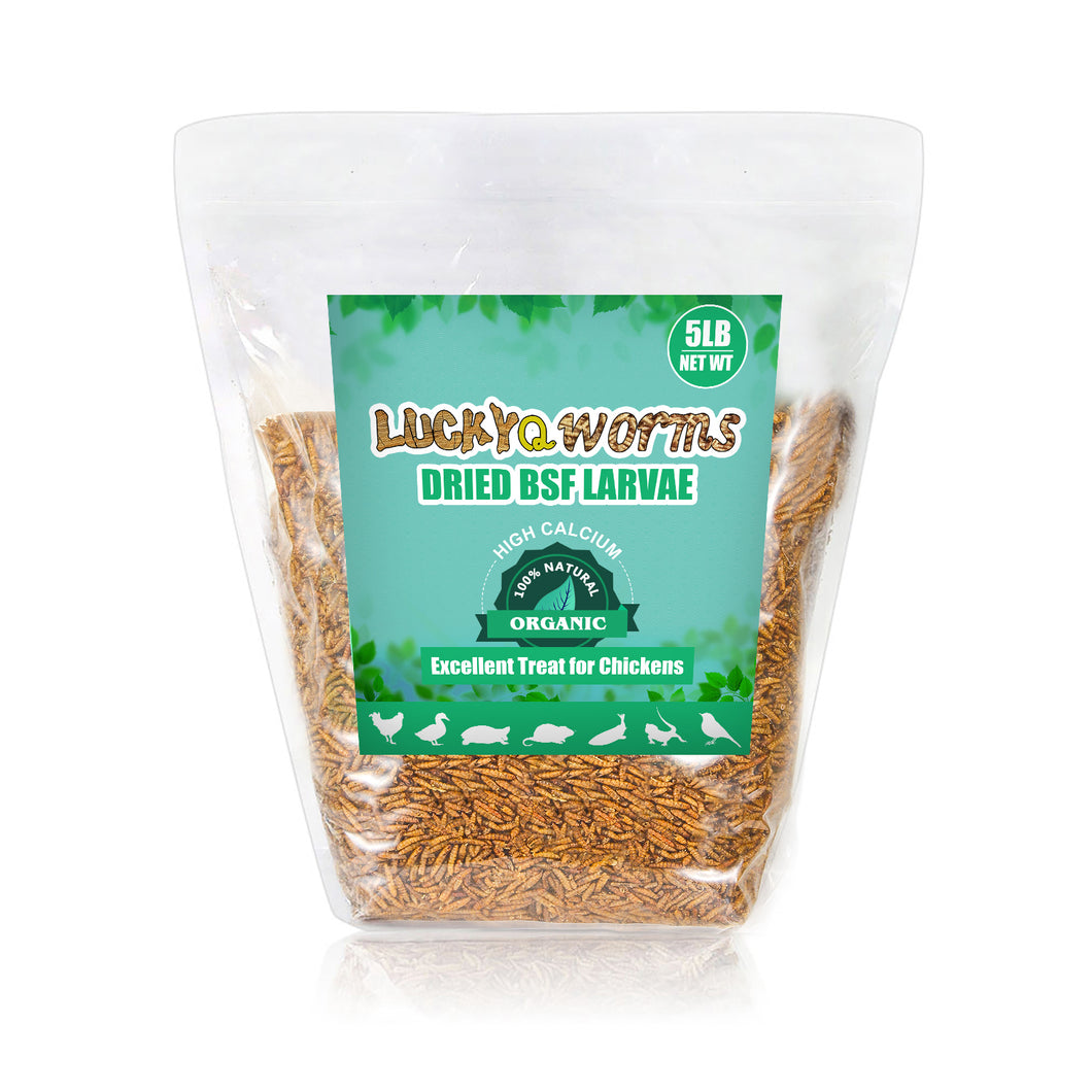 LuckyQworms Dried Black Soldier Fly Larvae 5lbs, High-Protein BSF Larvae Chicken Treats Non-GMO BSFL for Chickens, Hens, Ducks